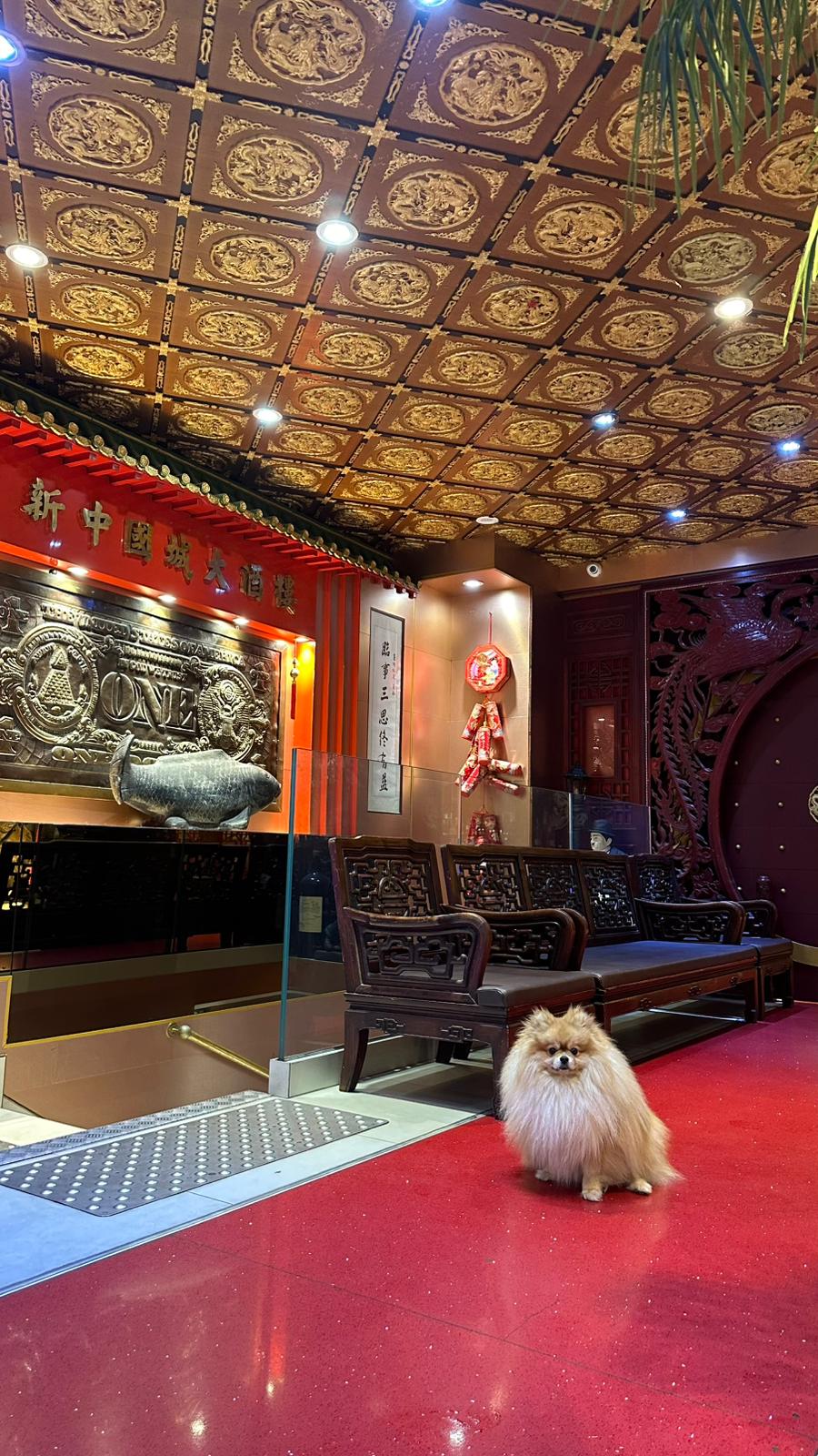 China Town Belleville restaurant interior